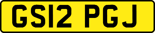 GS12PGJ