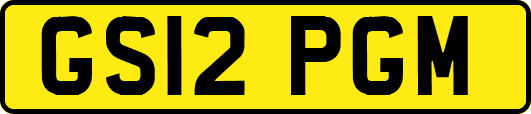 GS12PGM