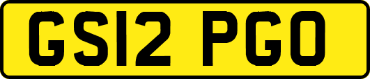 GS12PGO