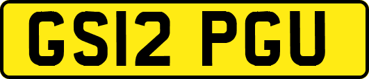 GS12PGU