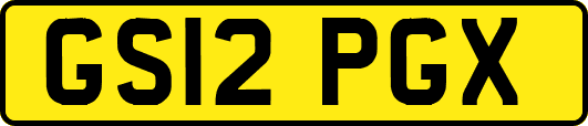 GS12PGX