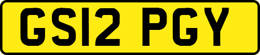 GS12PGY