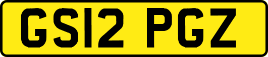 GS12PGZ