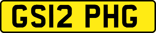 GS12PHG