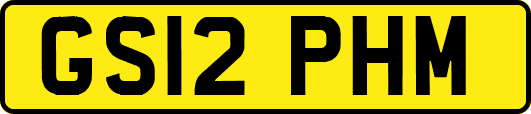 GS12PHM