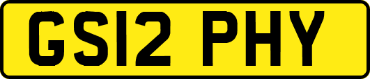 GS12PHY