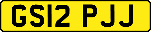 GS12PJJ