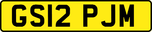 GS12PJM