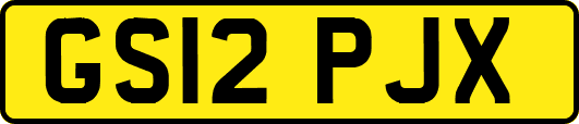 GS12PJX