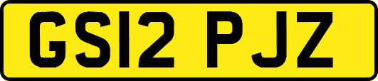 GS12PJZ
