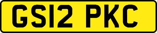 GS12PKC