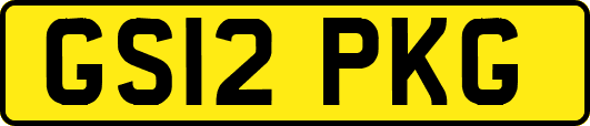 GS12PKG