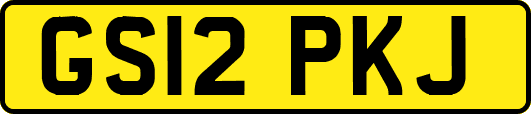 GS12PKJ
