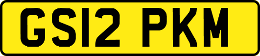 GS12PKM
