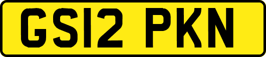 GS12PKN