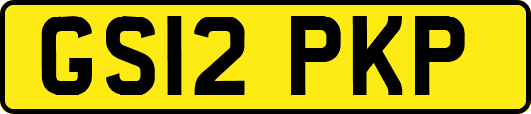GS12PKP