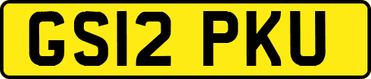 GS12PKU