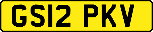 GS12PKV