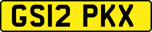 GS12PKX
