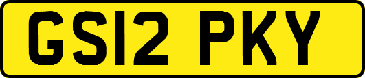 GS12PKY