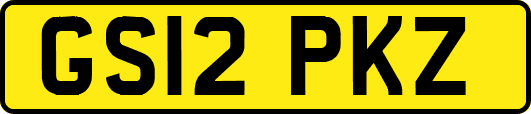 GS12PKZ