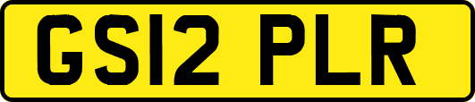 GS12PLR