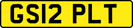 GS12PLT