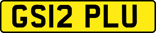 GS12PLU