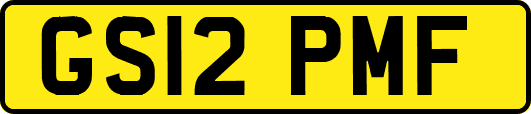 GS12PMF