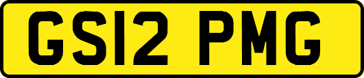 GS12PMG