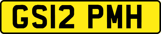 GS12PMH