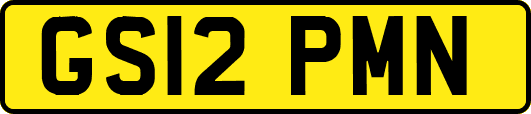 GS12PMN