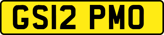 GS12PMO