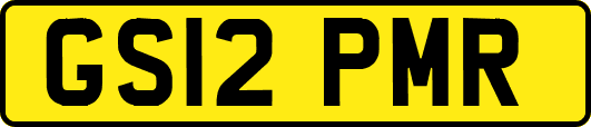GS12PMR