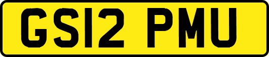 GS12PMU