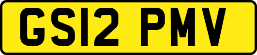 GS12PMV