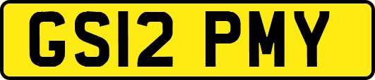 GS12PMY