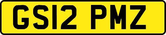 GS12PMZ