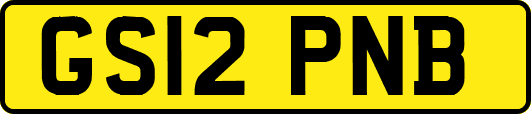 GS12PNB