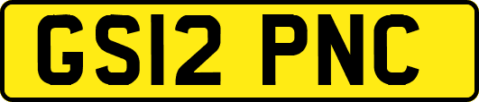 GS12PNC