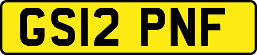 GS12PNF