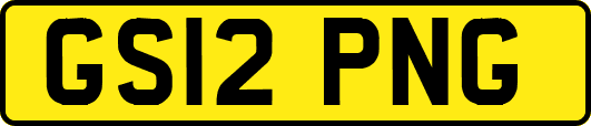 GS12PNG