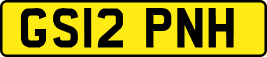 GS12PNH