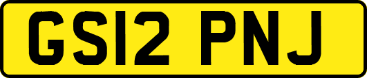 GS12PNJ