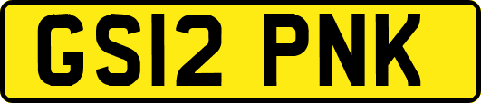 GS12PNK