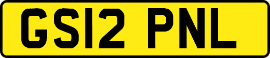 GS12PNL
