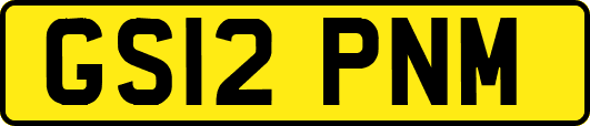GS12PNM