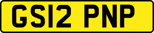 GS12PNP
