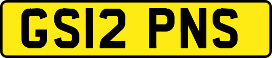 GS12PNS