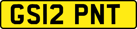 GS12PNT